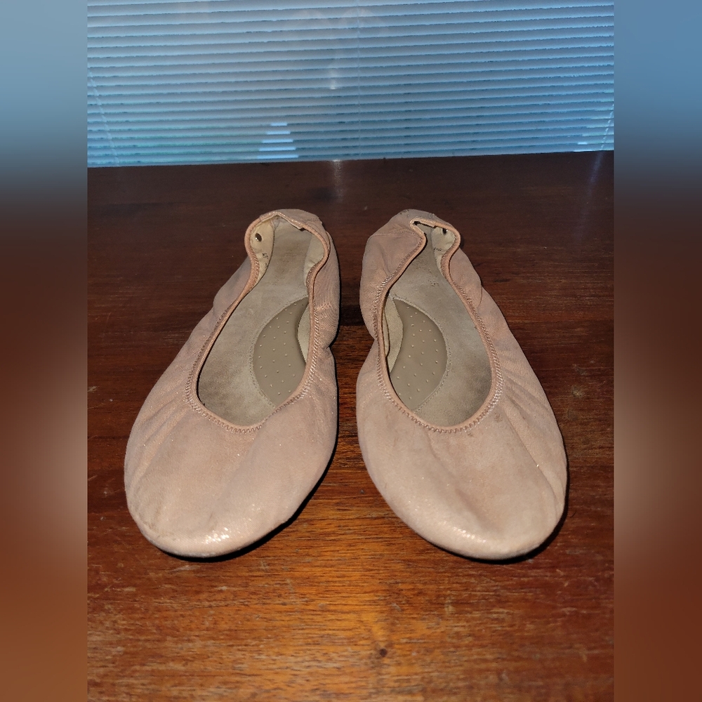 Hush Puppies Women's Leather Ballet Flats Size 9 Color Blush Sheen
